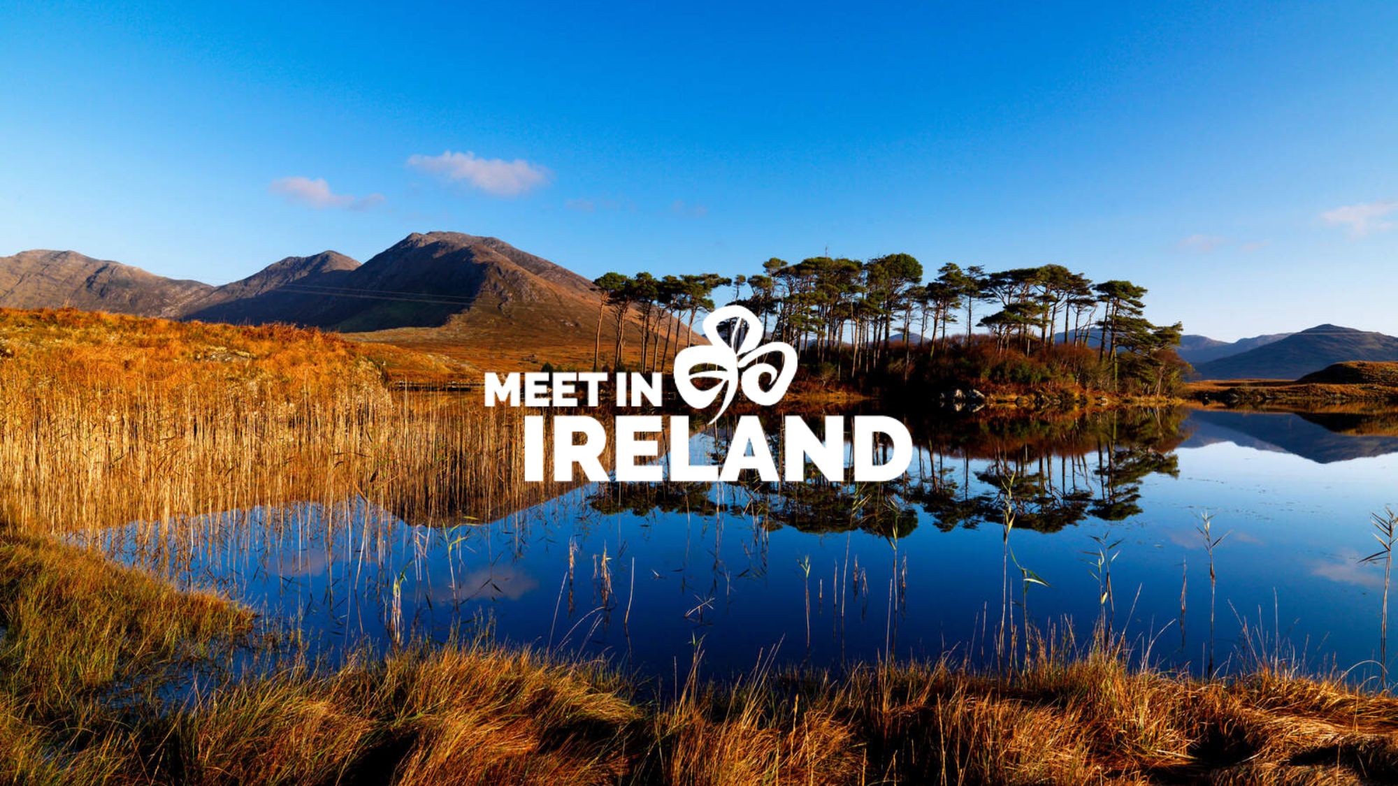 Meet in Ireland 2026